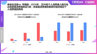 用戶研究與互聯網數據中心 199it的互聯網數據服務探索