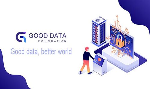 互聯網時代數據服務的未來路徑